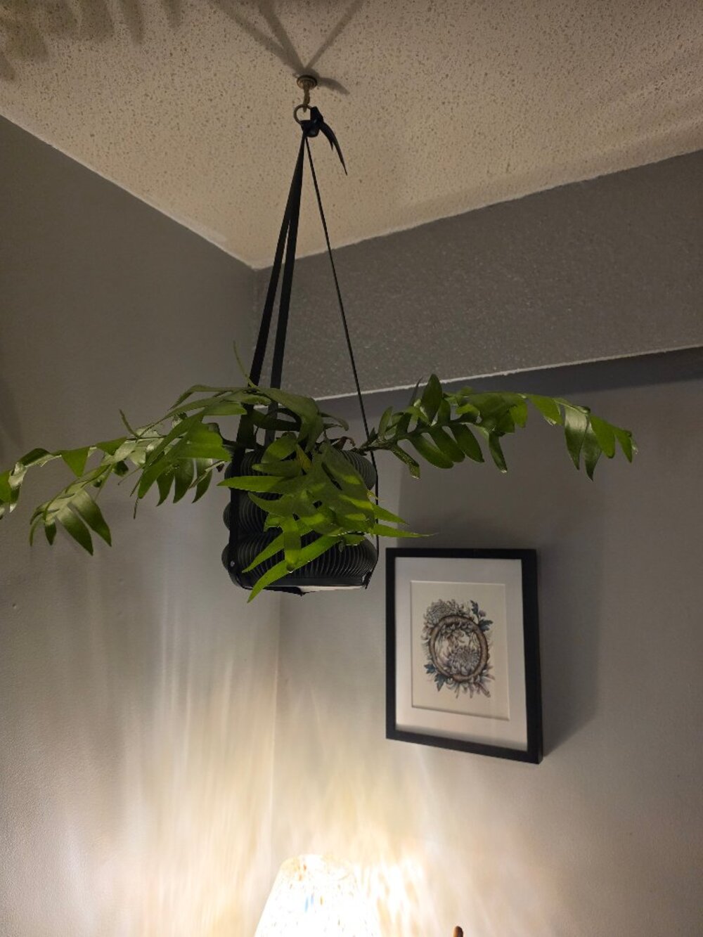 Handmade Leather Plant Hanger Black BNWT